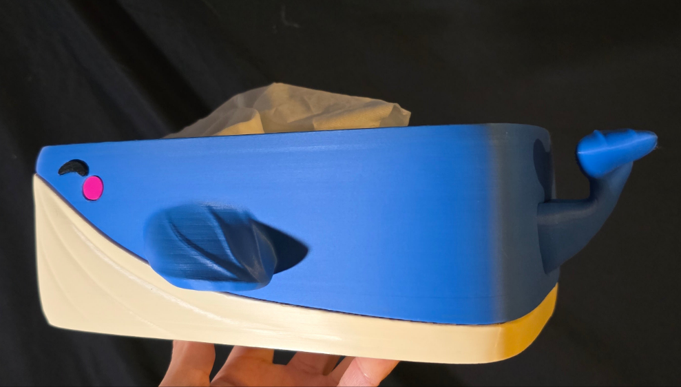 Whale Tissue Box!